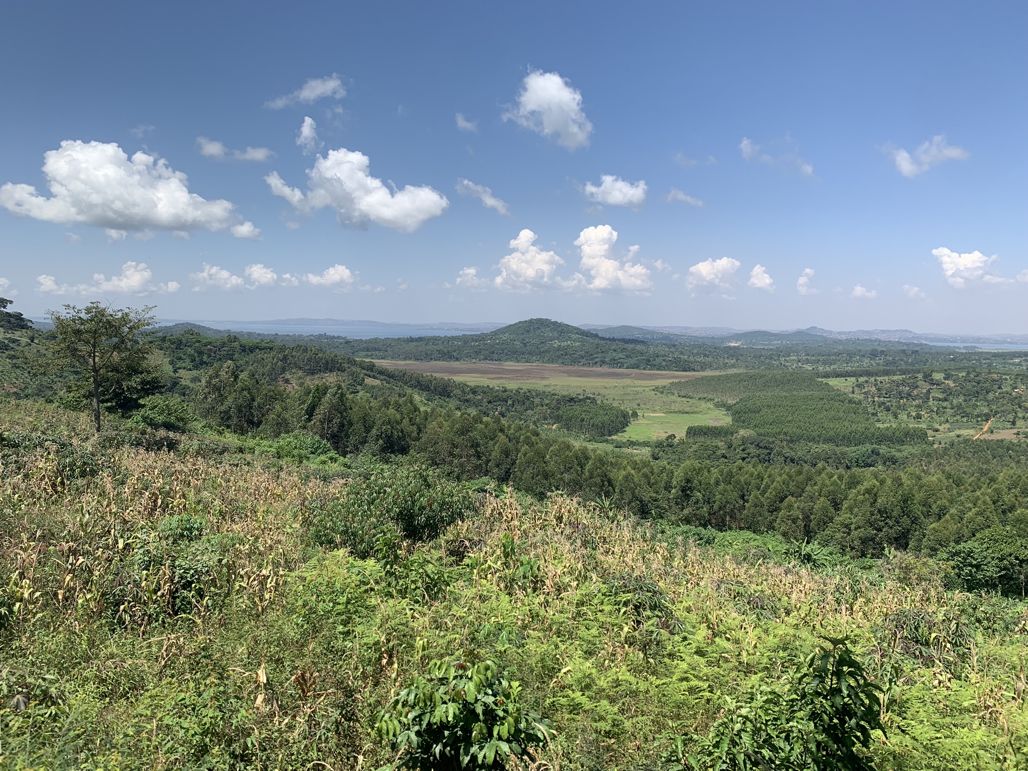 Was für eine Natur!