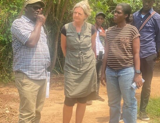 Hochqualifizierter, fachkompetenter Besuch in Kyankwanzi gibt viele nützliche Ratschläge
