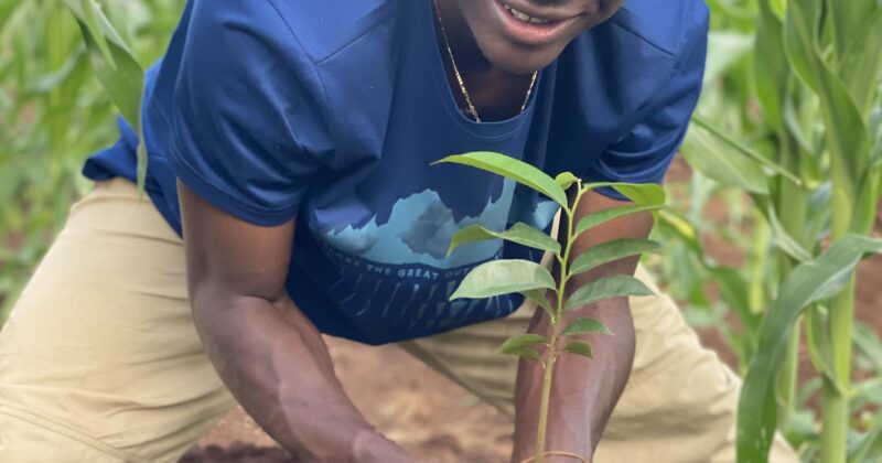 S4 Abschlussklässlerinnen pflanzen auch Bäume für unsere BaumpatInnen – Ausbildungsgelder gesucht