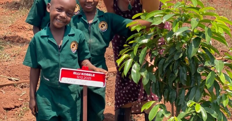 Pflanzzeit in Uganda – jetzt Baumpate werden oder eine Baumpatenschaft verschenken! Spenden für den neuen Malaika Smile Van benötigt!